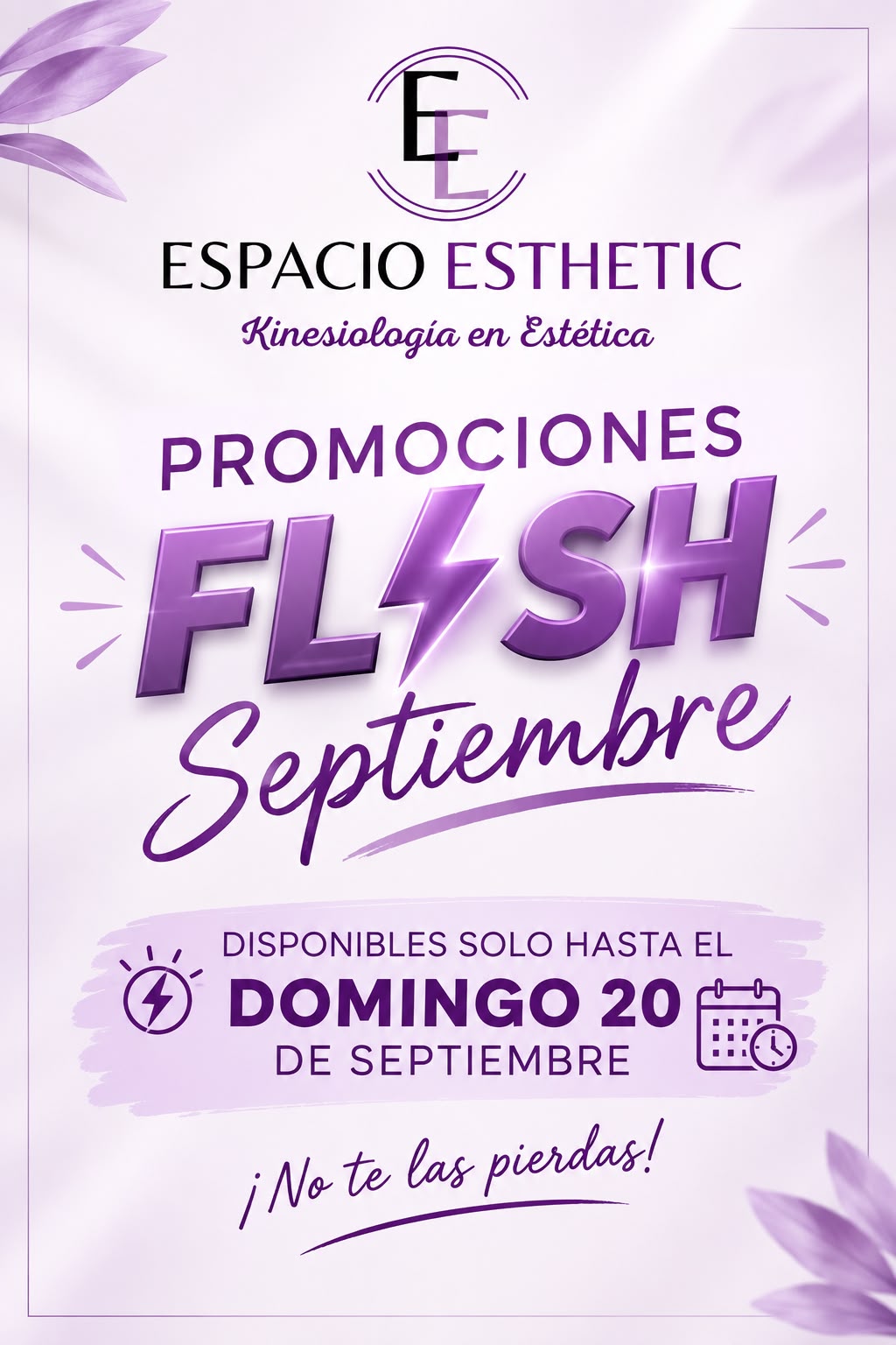 2 Limpiezas Profundas Dermik - Promoción Flash